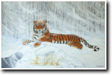 Snow Tiger